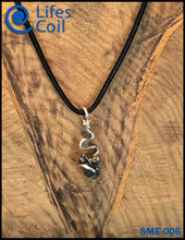 Load image into Gallery viewer, Sterling Silver Coil Pendant with Campo del Cielo Meteorite